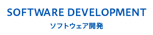 SOFTWARE DEVELOPMENT ソフトウェア開発